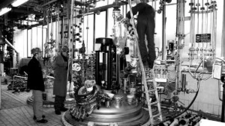 Alba-neagra cu salariul minim pe economie