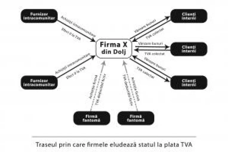 Au furat milioane de la stat, cu tranzactii fictive