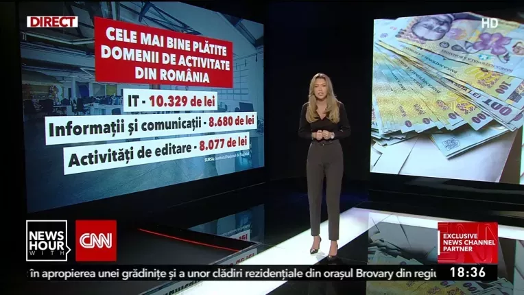 Cele mai bine platite domenii de activitate din Romania