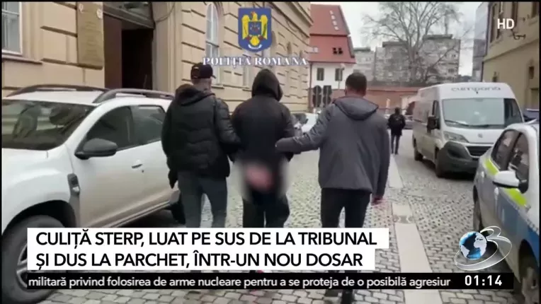 Culita Sterp si fratele sau, cercetati intr-un dosar de inselaciune de 400.000 de euro