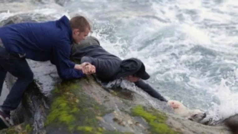 Doi tineri au salvat de la inec un miel, pe care apoi l-au mancat!