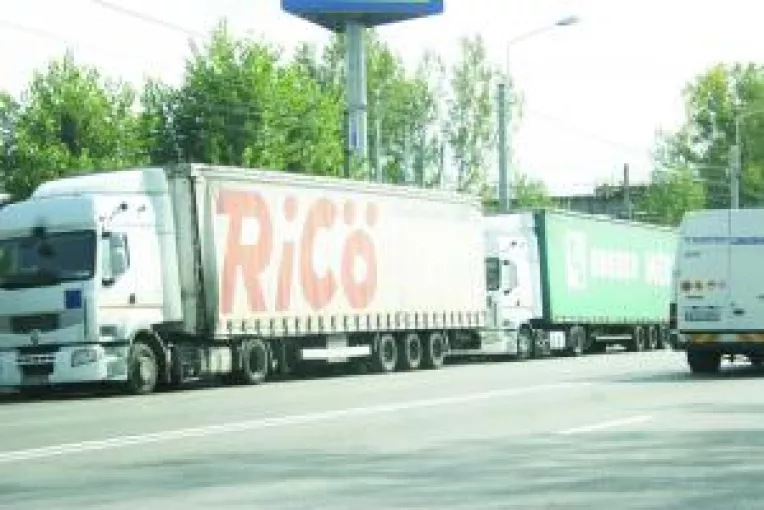 Doljul exporta masiv