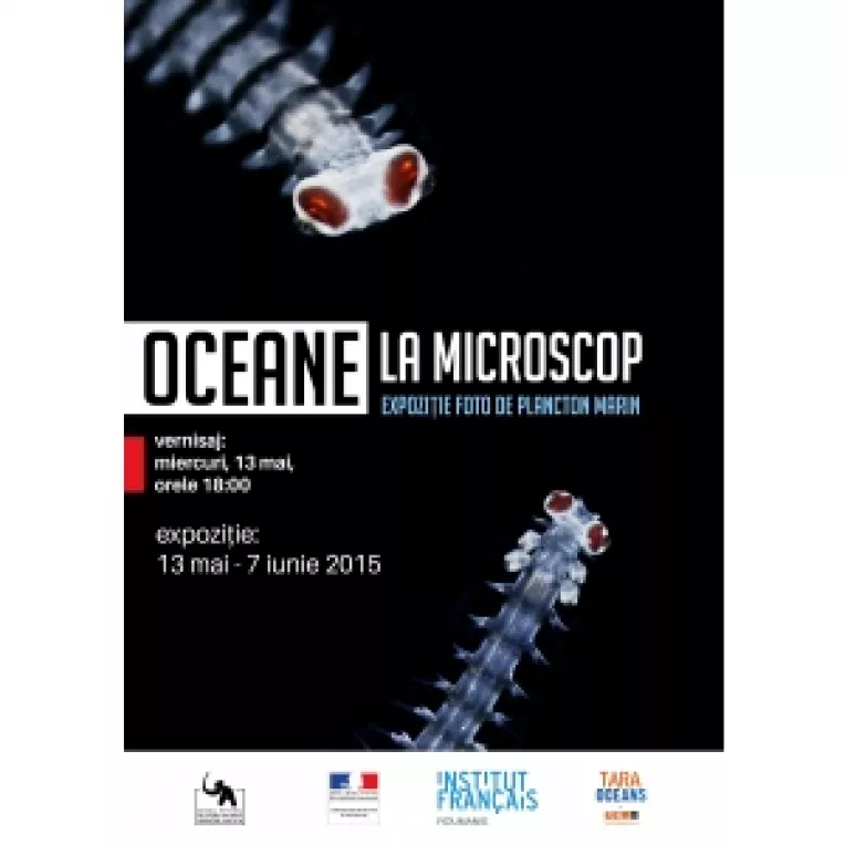 Expozitie "Oceane la microscop", la Muzeul National de Istorie Naturala "Grigore Antipa"