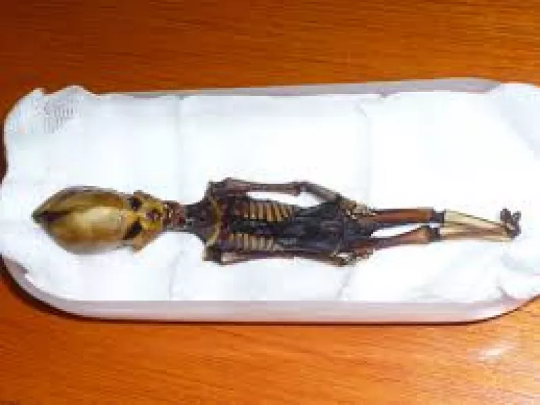 Fiinte si obiecte inexplicabile : OOPARTS – Out of place artifacts (2)