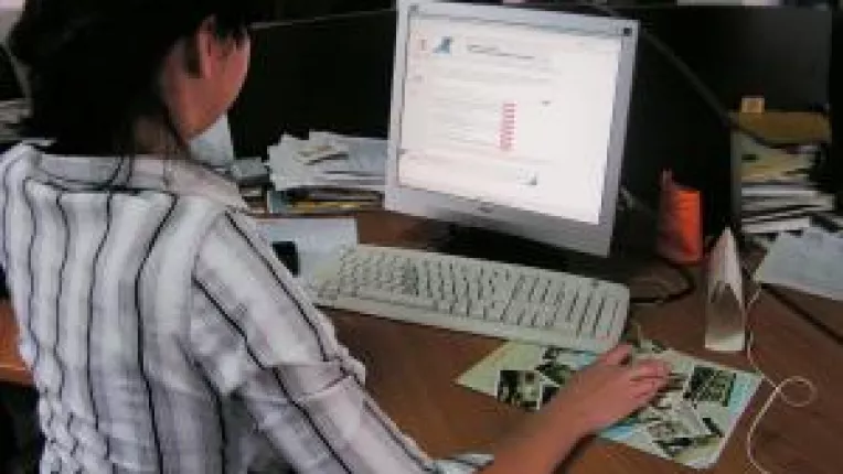 Firmele on line,  SF pentru patroni