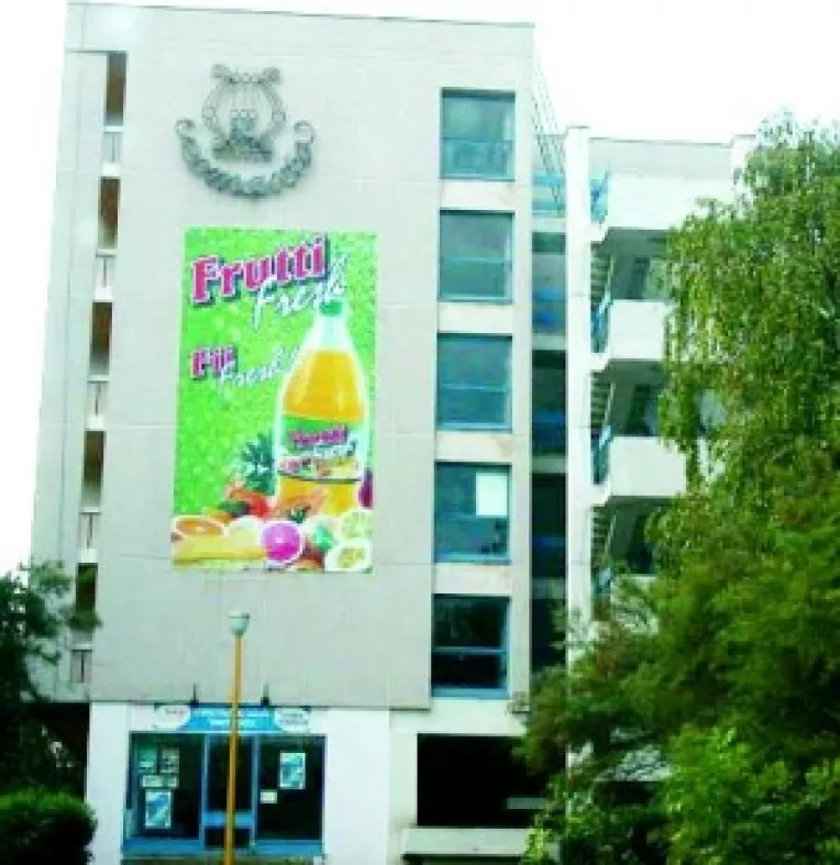 Fratii Micula, aflati in executare silita