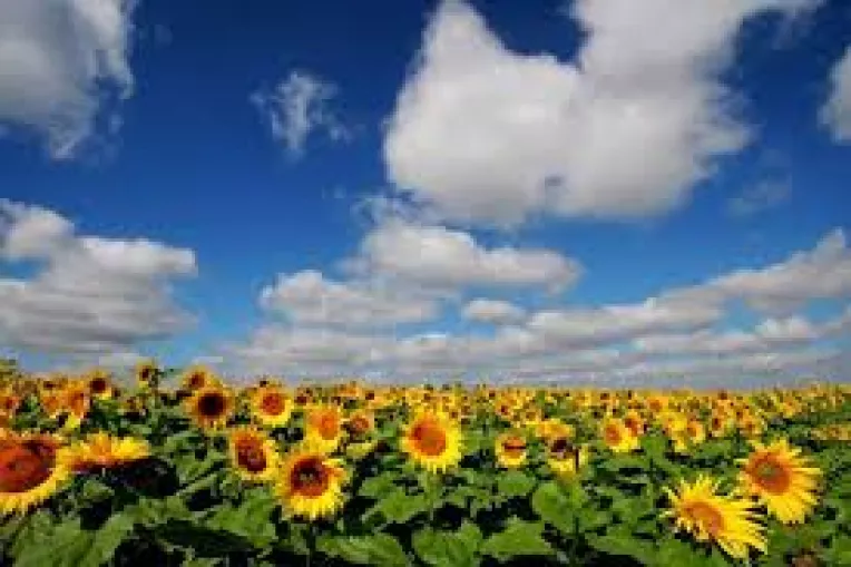 Horoscop: Saptamana 29 Iulie – 4 August 2013