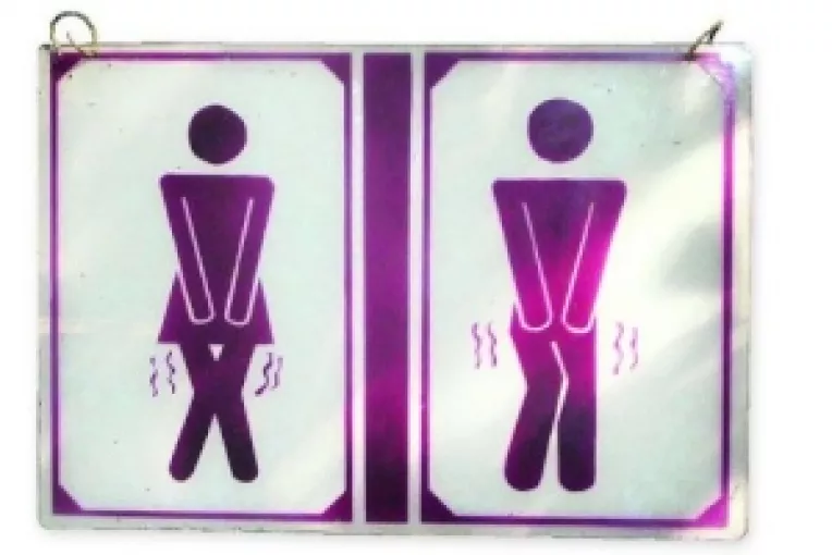 In Romania, aproape 40% dintre closete sunt fara apa, in exteriorul casei