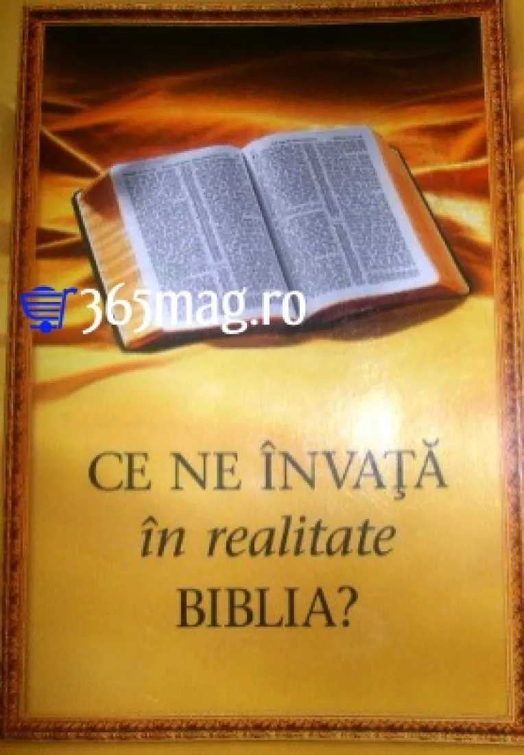 O carte de 224 de pagini da raspuns la intrebarea: Ce ne invata in realitate BIBLIA