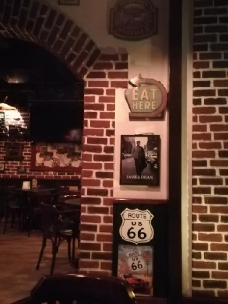 O oaza de America la Calarasi, pe malul Borcei, un brat al Dunarii: Barul Ruta 66