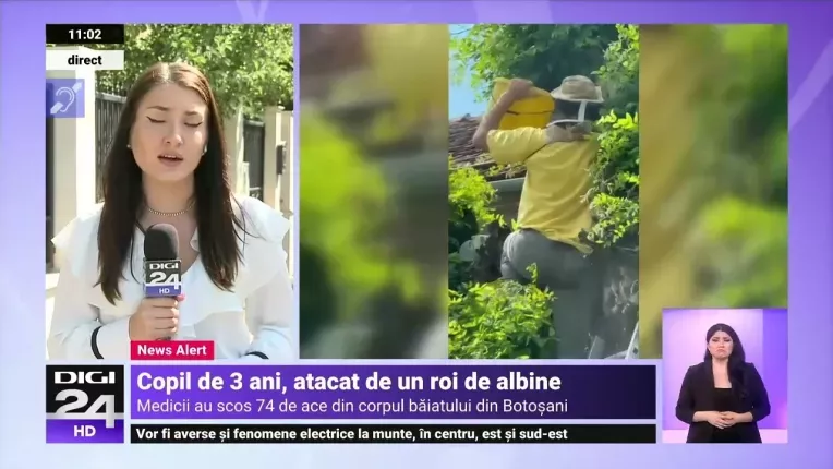 Un copil a fost atacat de un roi de albine, in Botosani. Medicii i-au scos peste 70 de ace